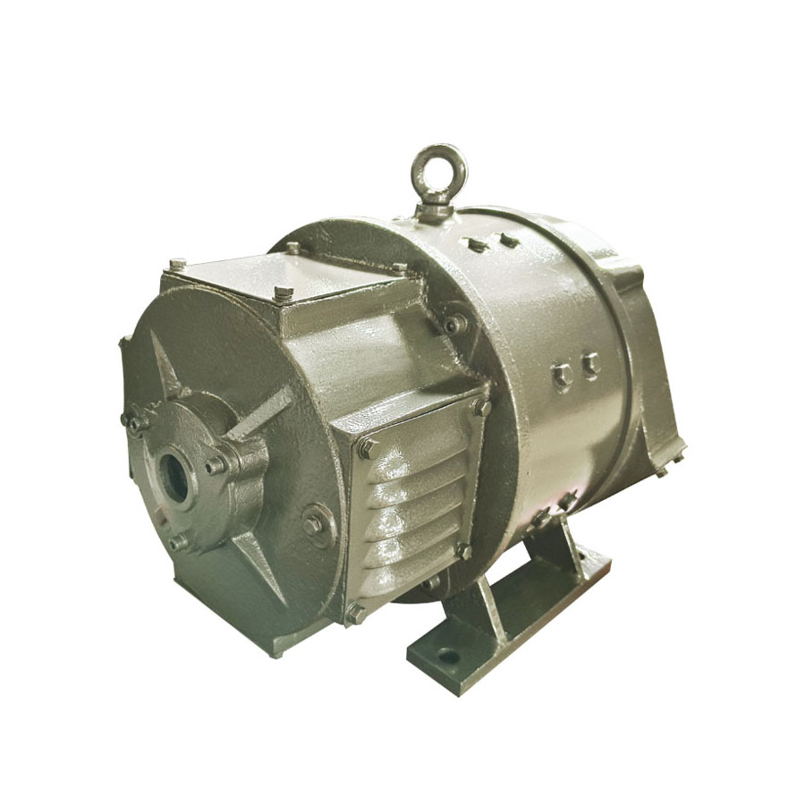 High Quality DC Motors For Industrial Applications Wangpai Motor